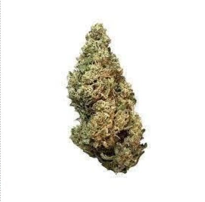 Smoakland - Smoakland Xclusivez | Slurricane | Big Buds - 1