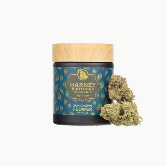 Harney Brothers Cannabis - Hella Jelly Flower - 1