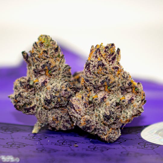 TEDS BUDZ - Blueberry Cherries - 1