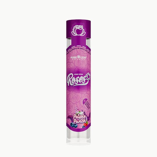 Roses - PURPLE PUNCH Roses Long Stem Indica 1G | Liquid Diamond Infused - 1