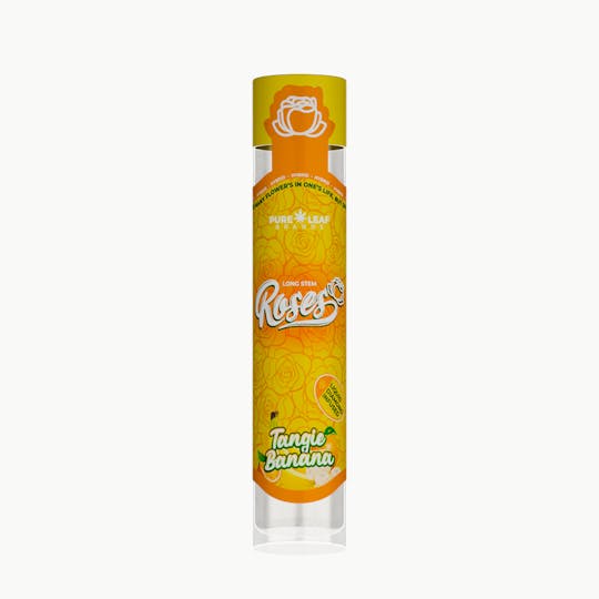 Roses - TANGIE BANANA Roses Long Stem Hybrid 1G | Liquid Diamond Infused - 1