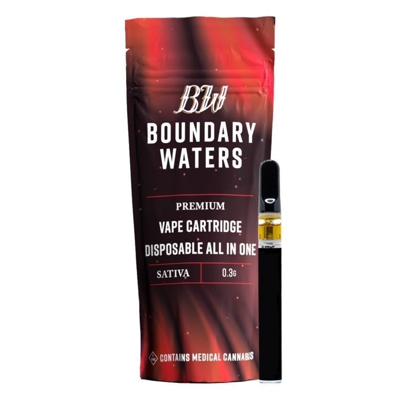 Boundary Waters - Raspberry Crave | Disposable | 0.3g - 1