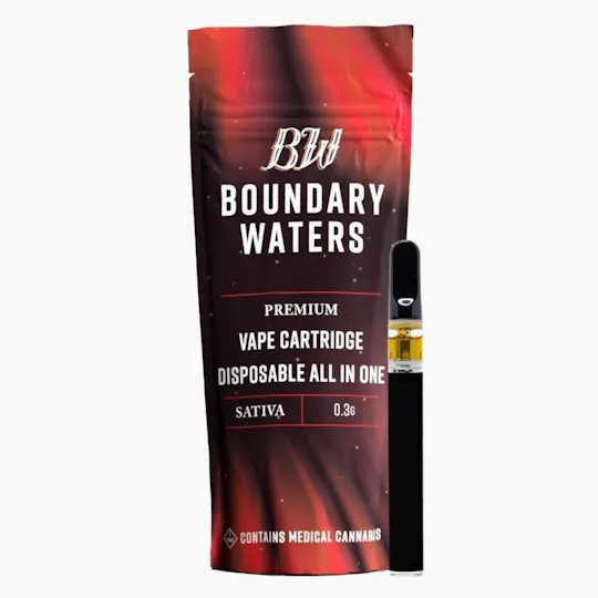 Boundary Waters - Raspberry Crave | Disposable | 0.3g - 1