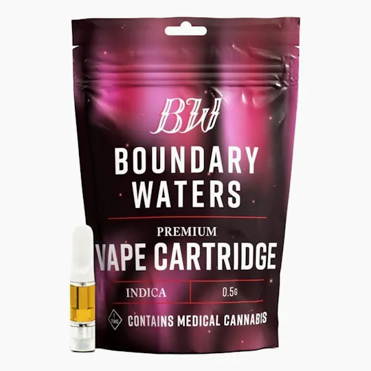 Boundary Waters - Strawberry Milkshake | Cartridge | 0.5g - 1