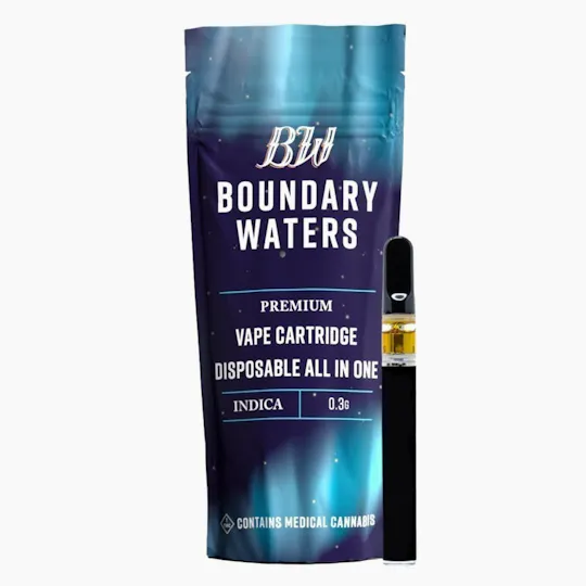 Boundary Waters - Strawberry Milkshake | Disposable | 0.3g - 1