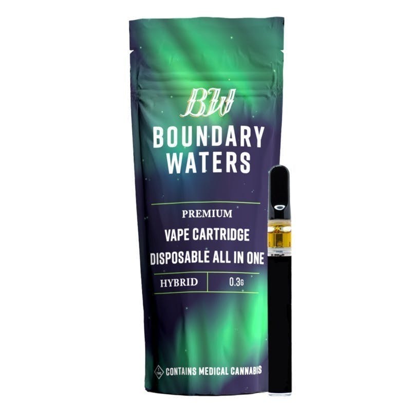Boundary Waters - Tiger's Blood | Disposable | 0.3g - 1