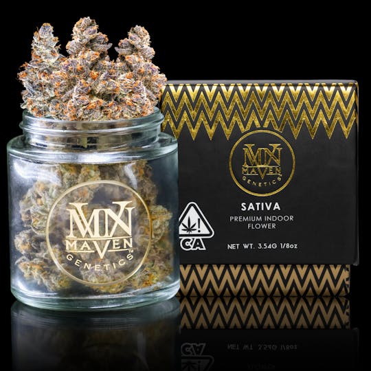 Maven Genetics - Orange Sapphire - 1