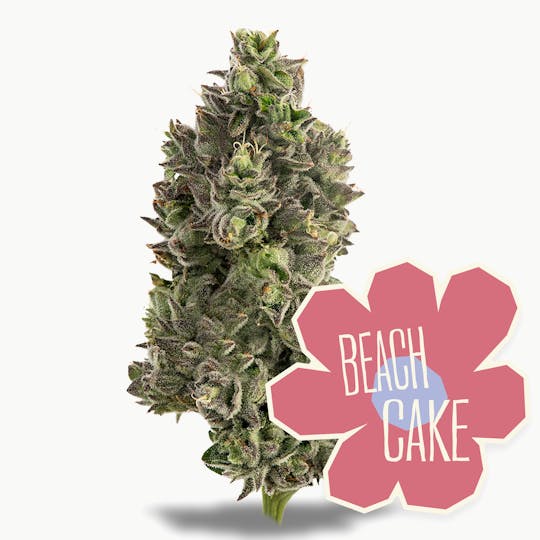 District Cannabis - Beach Cake Flower 14g - 1