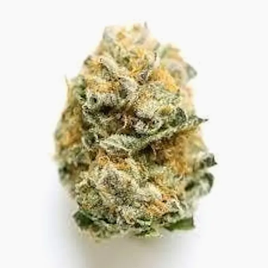 Cannafeen - Cannafeen | Jet Fuel | Big Buds - 1