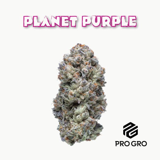 Pro Gro - Planet Purple Live Resin Disposable | 1g - 1