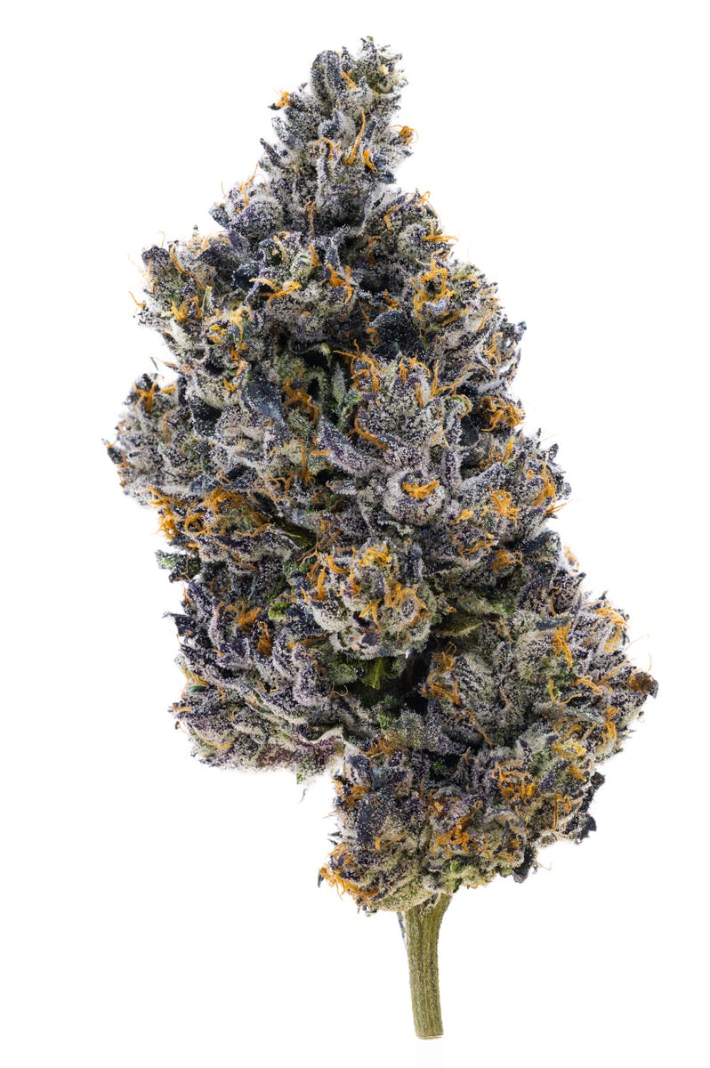 PHASES - Phases | Retrograde | Cherry Runtz | Big Buds | 3.5g - 1