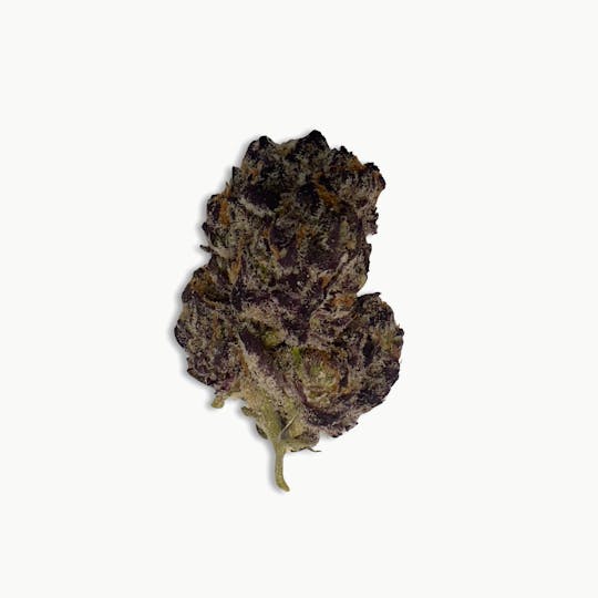 Indico - Frosty - Cure Cannabis - 1