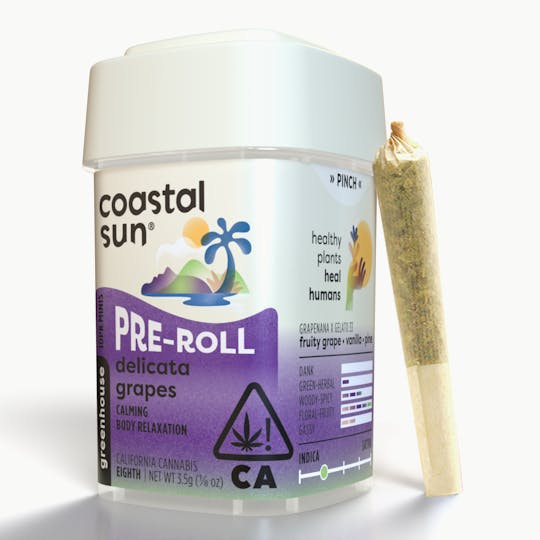 Coastal Sun - Delicata Grapes Greenhouse 0.35g Pre-roll 10pk 3.5g - 1