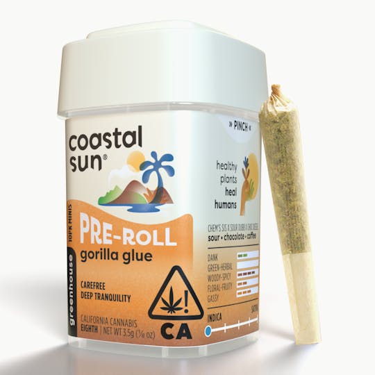 Coastal Sun - Gorilla Glue Greenhouse 0.35g Pre-roll 10pk 3.5g - 1
