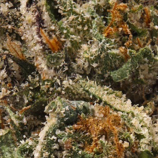 Hyperwolf - Lemon Cherry Gelato - 1