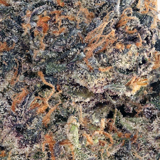 Hyperwolf - Poison Gushers (Living Soil) - 1
