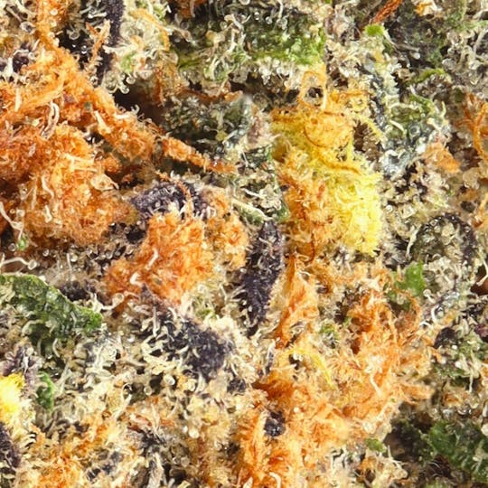 Hyperwolf - Mochi x Jet Fuel Gelato - 1