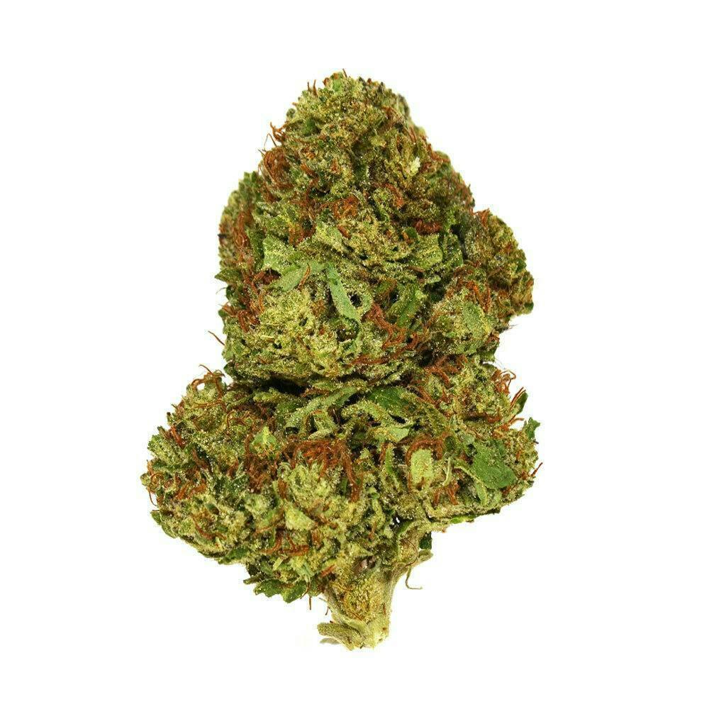 Smoakland - Smoakland | Xclusivez | Blue Gelato | Big Buds | 28g - 1