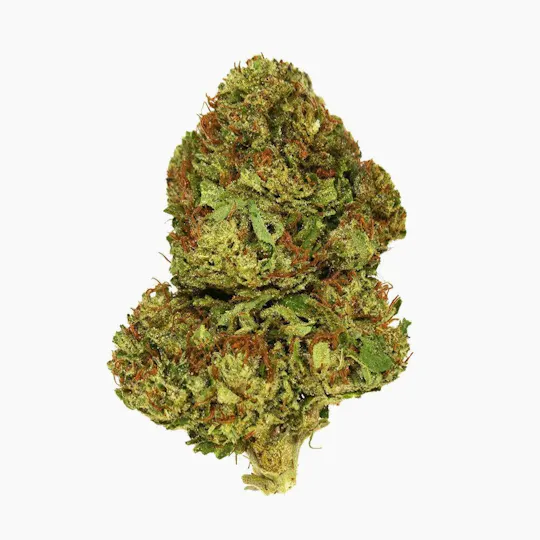 Smoakland - Smoakland | Xclusivez | Blue Gelato | Big Buds | 28g - 1