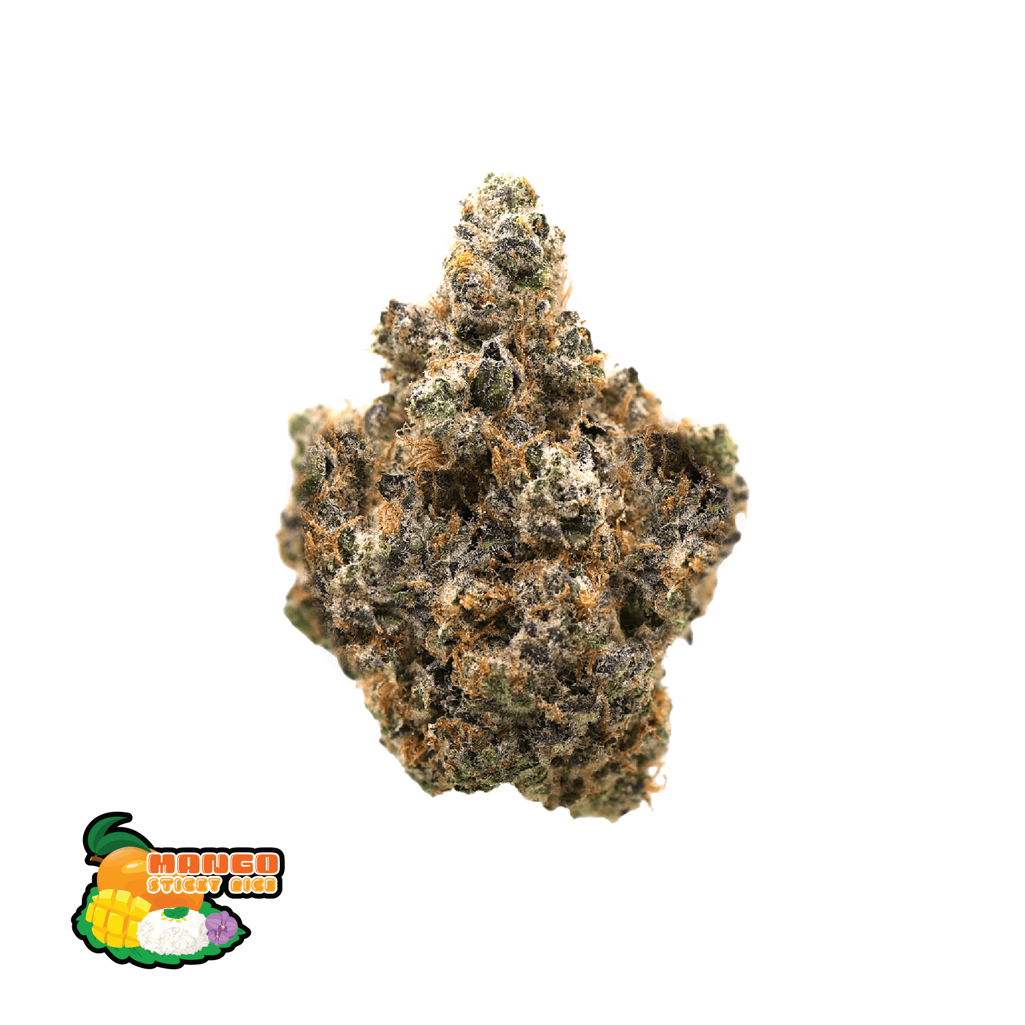 Traditional - Traditional - Mango Sticky Rice 3.5g - 1