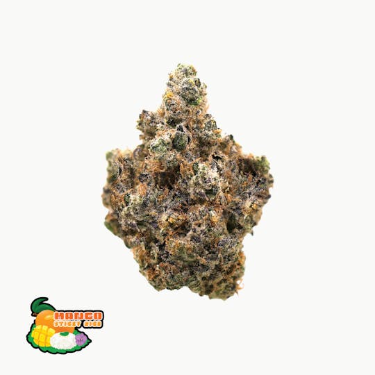 Traditional - Traditional - Mango Sticky Rice Minis 5g - 1