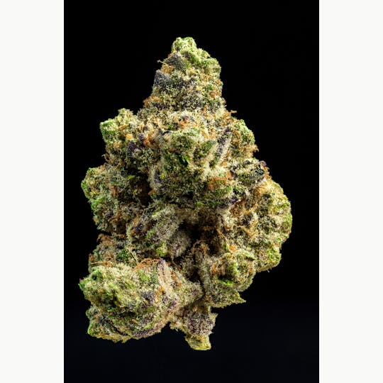 Humboldt Terp Council - Humboldt Terp Council | GSC 3.5g - 1