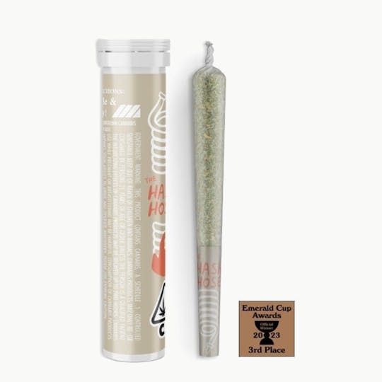 Arcata Fire - Banana Bubblegum Punch | Infused Preroll | (1g) - 1