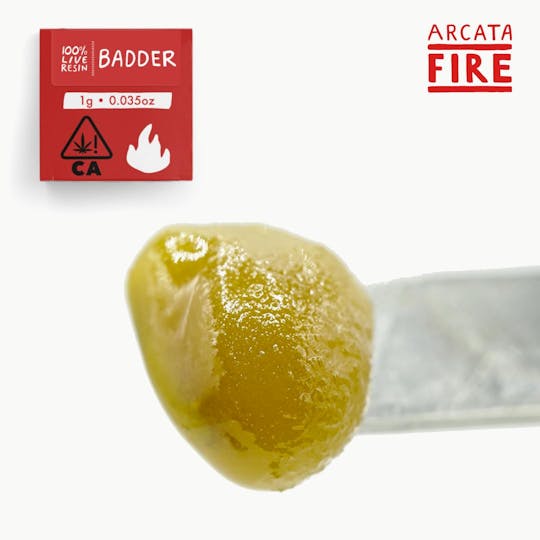 Arcata Fire - Baklava | Solvent Free Badder | (1g) - 1