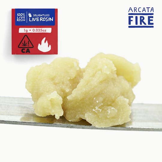 Arcata Fire - Motor Breath X Papaya Bomb | Live Rosin | (1g) - 1