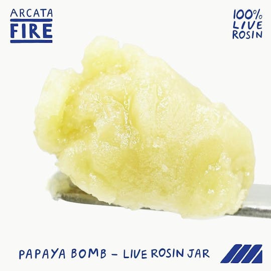 Arcata Fire - Papaya Bomb | Live Rosin | (1g) - 1