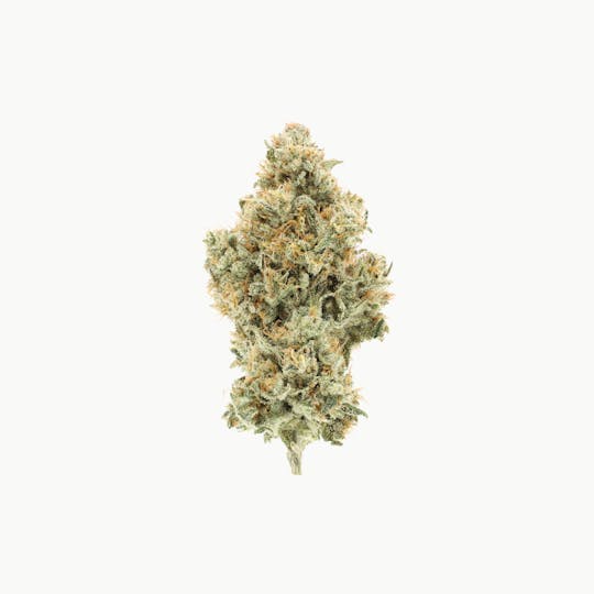 UpNorth - NF1 - 3.5g - 1
