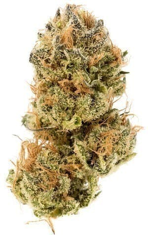Modern Flower - Modern Flower | Sativa | Big Buds | 14g - 1