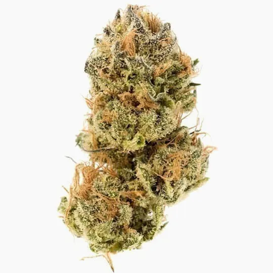 Modern Flower - Modern Flower | Sativa | Big Buds | 14g - 1