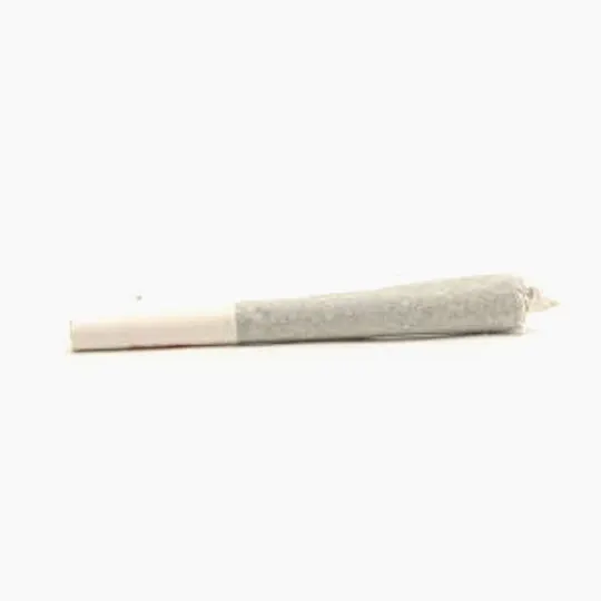 Modern Flower - Modern Flower | Joint | 1g - 1
