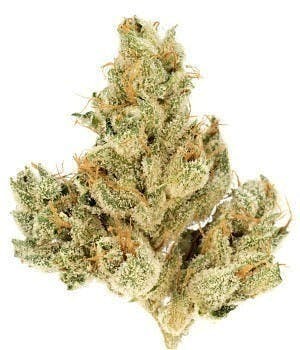 Modern Flower - Modern Flower | Hybrid | Big Buds | 3.5g - 1