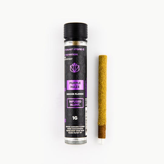 Dank By Definition - PURPLE HAZE 1G INFUSED BLUNT - 1