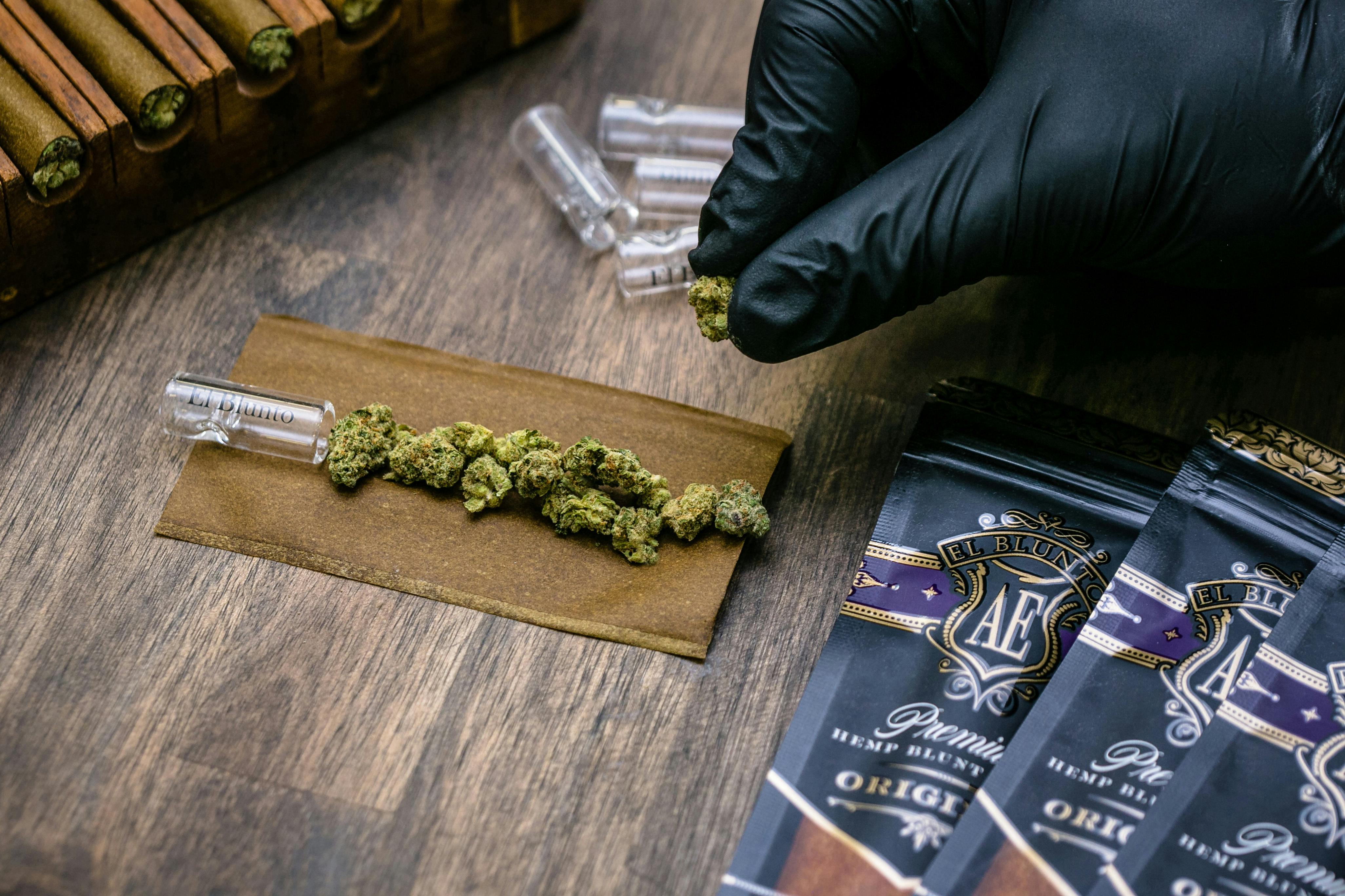 El Blunto by Albert Einstone's - El Bluntito - Animal Face x Kush Mints - .75G [Mini Blunt] - 1