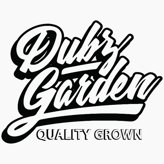 Dubz Garden - Coconut Horchata 3.5g - 1