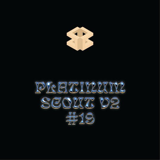 Burly Botanicals - Burly Botanicals | Platinum Scout #19 | Flower - 1