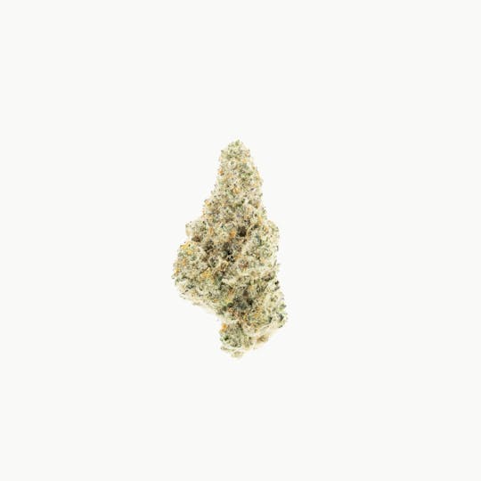 UpNorth - Lavender Goo - 3.5g - 1