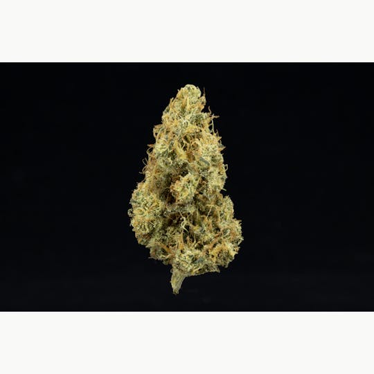 UpNorth - Dutch Treat - 3.5g - 1