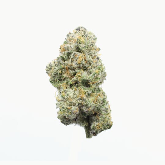 UpNorth - Tangerine Sunrise - 3.5g - 1