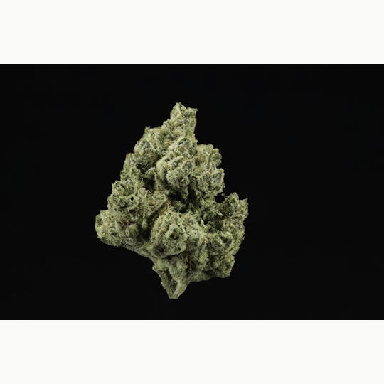 UpNorth - Orange Tree - 3.5g - 1