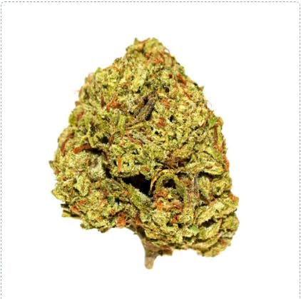 Smoakland - Smoakland Exotix | Tuscan Gelato | Big Buds | 14g - 1