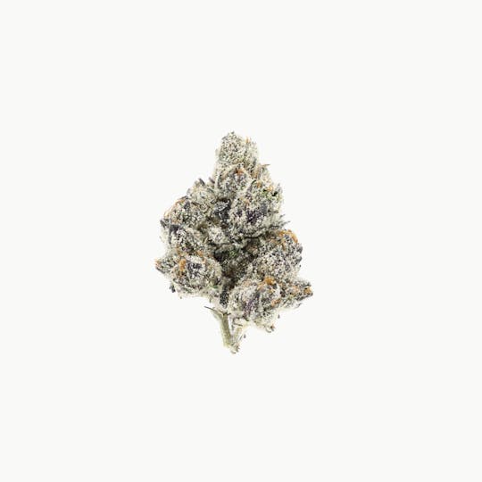 UpNorth - Purple Zaza - 3.5g - 1