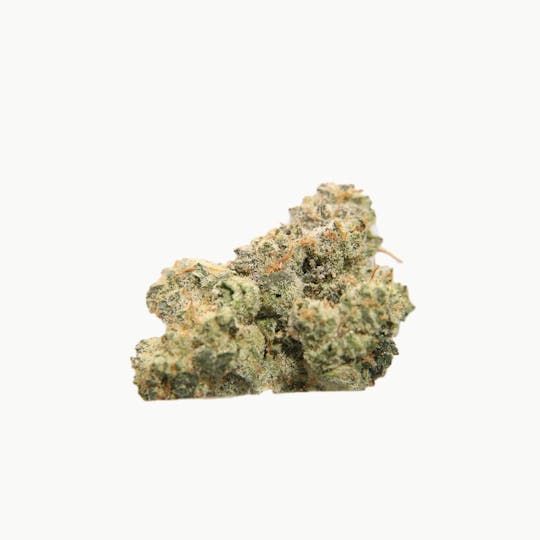 Wolfs Horn - (HighBurnAte) Holy Gelato 3.5 Grams Premium Quality - 1