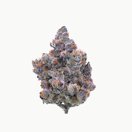 Sense - Purple Churro - 1