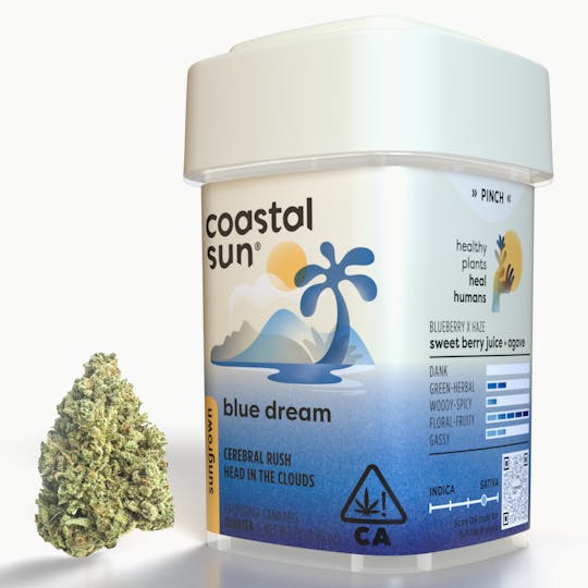Coastal Sun - Blue Dream Sungrown Flower 7g - 1