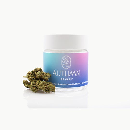 Autumn Brands - Gary - 3.5g Jar - 1