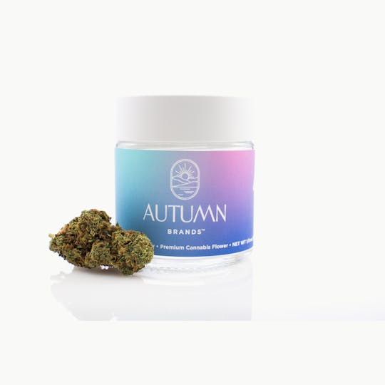 Autumn Brands - OGZ - 3.5g Jar - 1
